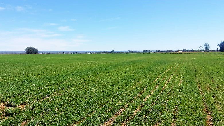 Commercial Property for Sale in Hartswater Rural Northern Cape